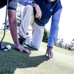 Golf Course & Fine Turf Blends